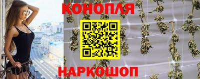 гашик Вязники